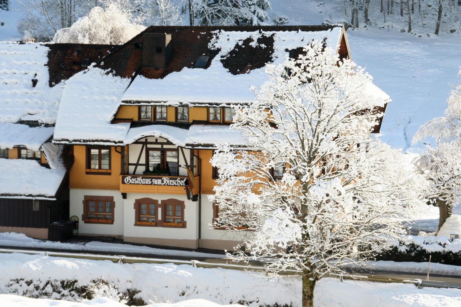 Hirschen