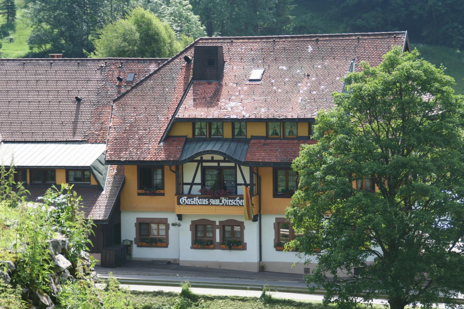 Hirschen